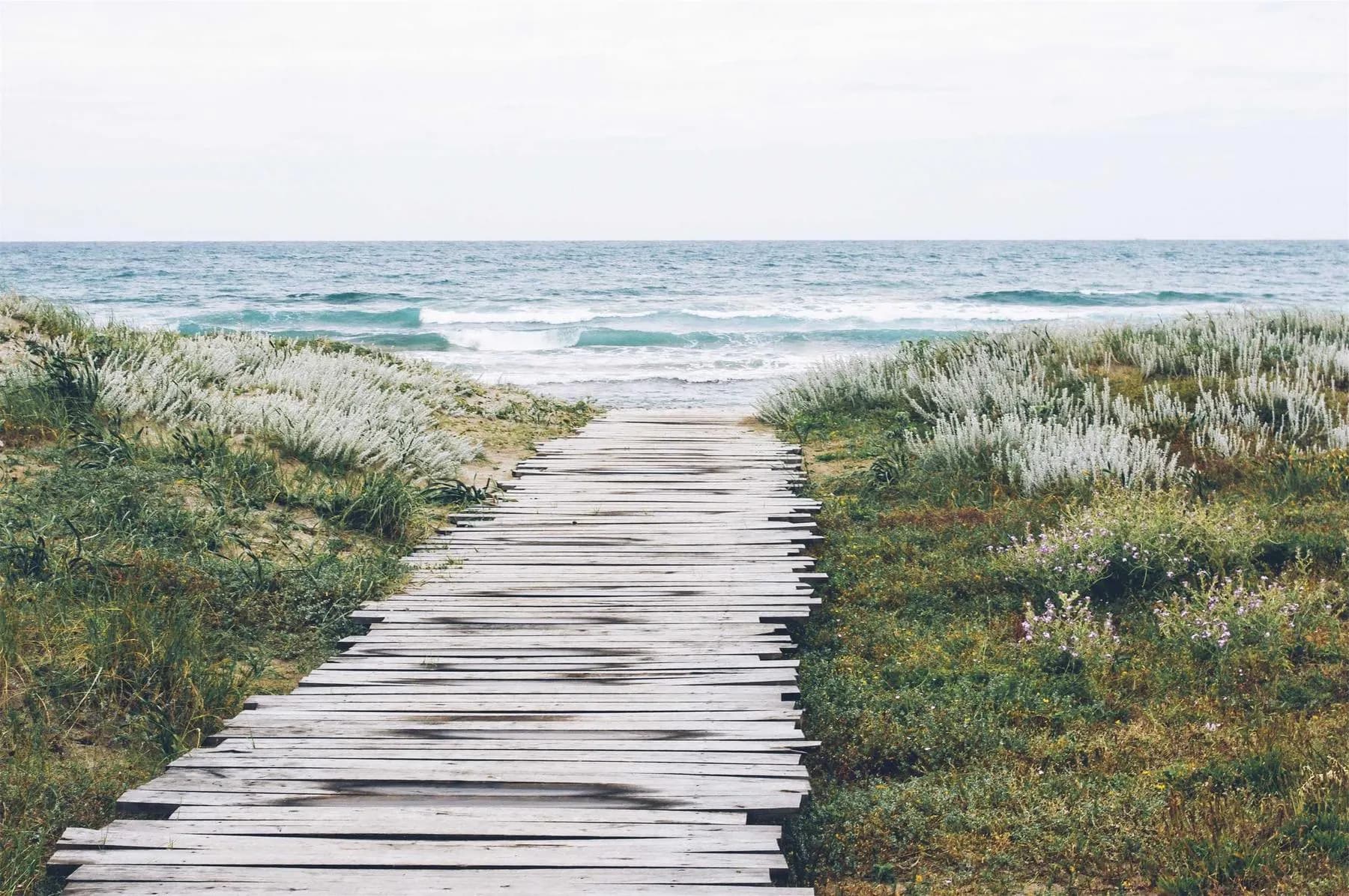 A weathered wooden boardwalk leading through dune grass towards the sea.