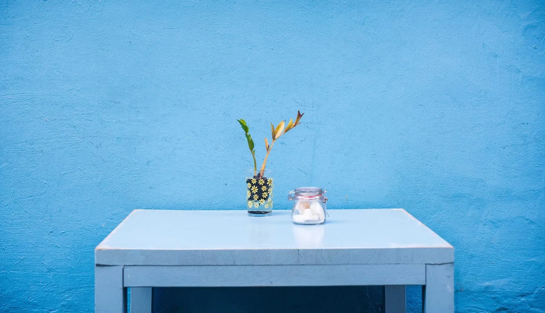 A small vase with a green stem and a lidded glass jar on a pale blue table against a bright blue wall.